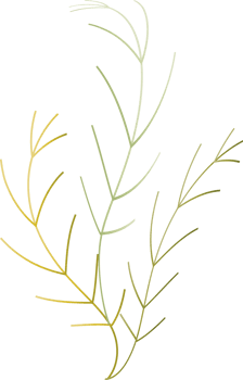 Silhouette drawing outline leave plant graphic design decoration background backdrop illustration png