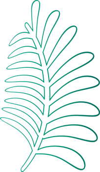 Silhouette drawing outline leave plant graphic design decoration background backdrop illustration png