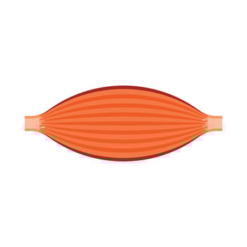 Arm muscle line icon, strenght anatomy symbol for your design vector