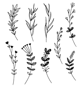 Vector illustrations - a set of graphic flowers, plants. 9 hand-drawn sketch-style design elements. Perfect for creating prints, patterns, tattoos, etc.