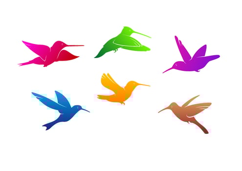 Hummingbirds symbols and silhouettes vector