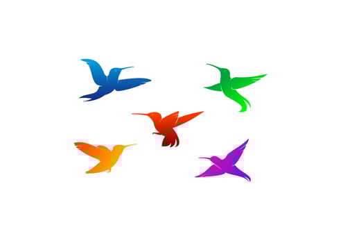 Flying hummingbirds silhouettes vector