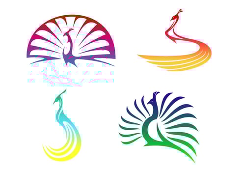 Peacock birds characters vector
