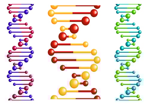 DNA molecule with elements vector