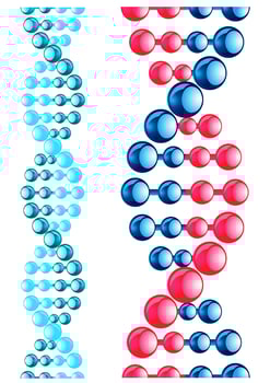 Molecule with DNA elements vector