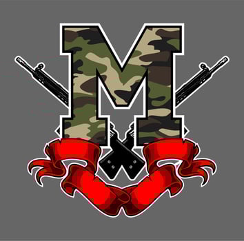 stripes and firearms vector