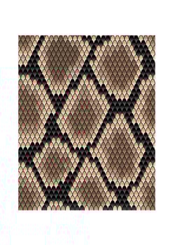 Seamless pattern of snake skin vector