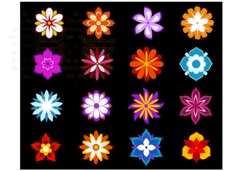 Set of colorful flowers and blossoms vector