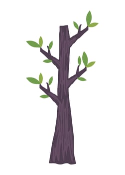 tree forest plant vector