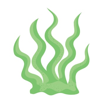 green marine seaweed nature vector