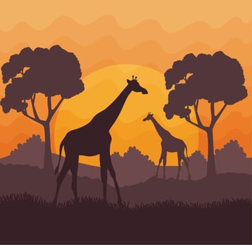 african savannah with giraffes vector