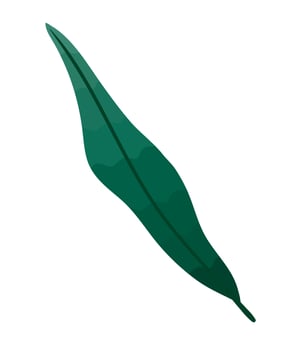 green leaf plant foliage vector