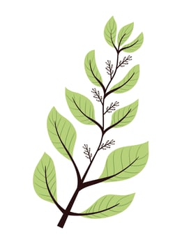 branch with green leafs foliage vector