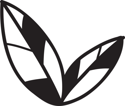cute leaves illustration on transparent background png