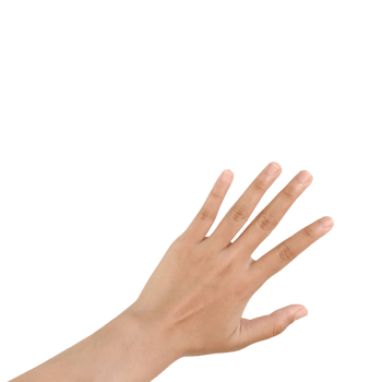 Close up Asian female hand show Number Five finger, palm hand in back, sign arm and hand isolated on a white background copy space symbol language png
