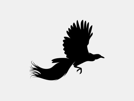 cendrawasih vector silhouette