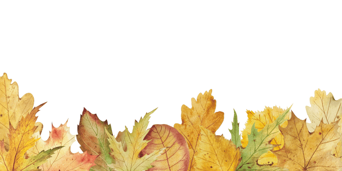 Autumn leaves border watercolor png