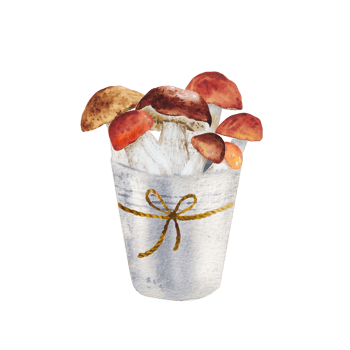 Watercolor mushrooms in bucket png
