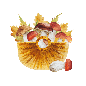 Watercolor mushrooms in basket png