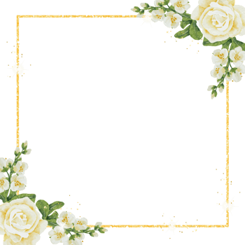 watercolor white roses bouquet with golden luxury square frame png