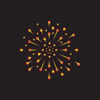Firework vector icon illustration design template