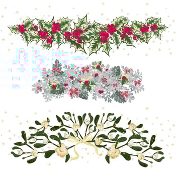 Set festive garlands of holly berry and cineraria vector