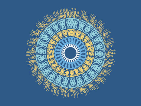 Luxury mandala art with background arabic islamic style, and luxury wedding invitation and flower mandala vector