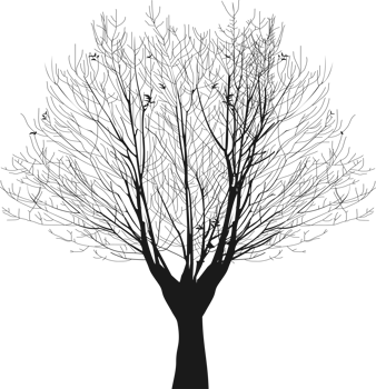 Naked trees silhouette design png