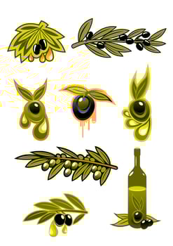 Green, black olives and oil vector