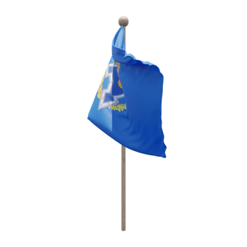 Collective Security Treaty Organization 3d illustration flag on pole. Wood flagpole png