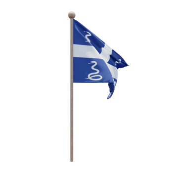 Drapeau Aux Serpents De La Martinique 3d illustration flag on pole. Wood flagpole png