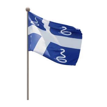 Drapeau Aux Serpents De La Martinique 3d illustration flag on pole. Wood flagpole png