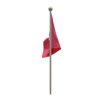 Isle of Mann 3d illustration flag on pole. Wood flagpole png