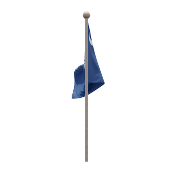 South Carolina 3d illustration flag on pole. Wood flagpole png