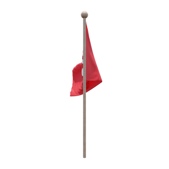 Tunisia 3d illustration flag on pole. Wood flagpole png