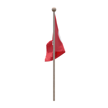 Turkey 3d illustration flag on pole. Wood flagpole png