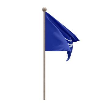 Union of South American Nations 3d illustration flag on pole. Wood flagpole png