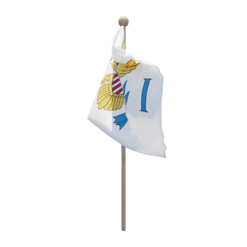 United States Virgin Islands 3d illustration flag on pole. Wood flagpole png