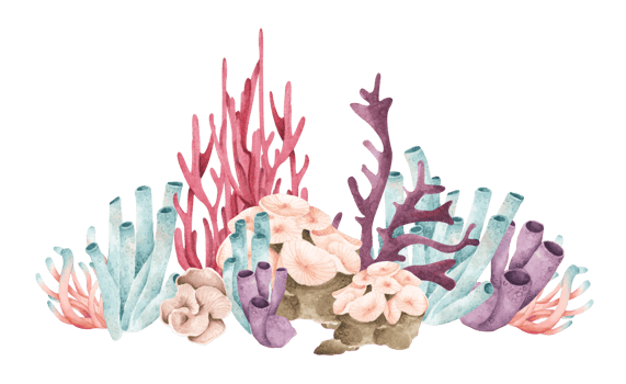 Seaweeds. Underwater ocean plants, sea coral elements. Watercolor illustration. png