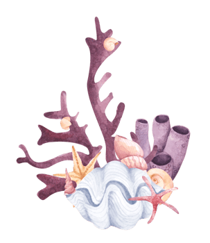 Hand painted watercolor composition with seaweed, corals and shells. png