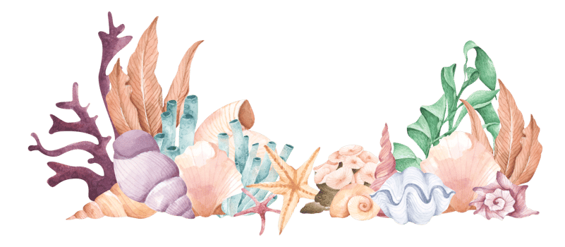 Hand painted watercolor composition with seaweed, corals and shells. png