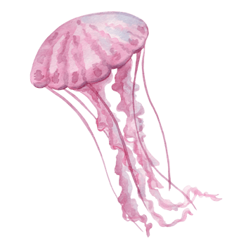 Light pink jellyfish with long tentacles, watercolor painting, hand-painted, isolated on a white background png