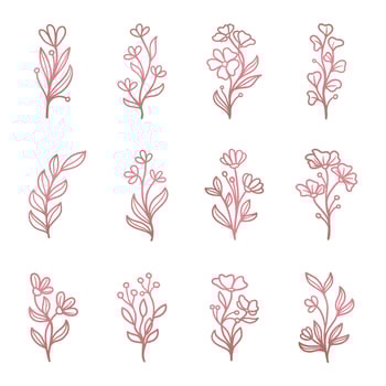 Feminine pink floral element ornament set template gold vector