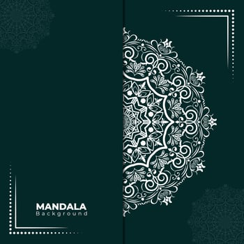 Mandala Background Design vector