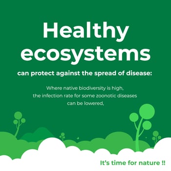 Healthy ecosystem poster for of celebrating the environment day vector