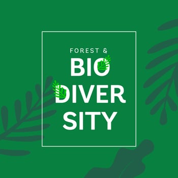 Design for celebrating International Day of Forest, march 21th vector