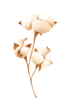 Autumn leaf. Watercolor illustration. png