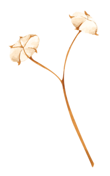 Floral. Watercolor illustration. png