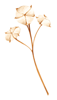 Floral. Watercolor illustration. png