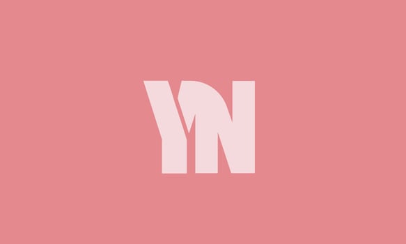 YN Alphabet letters Initials Monogram logo vector